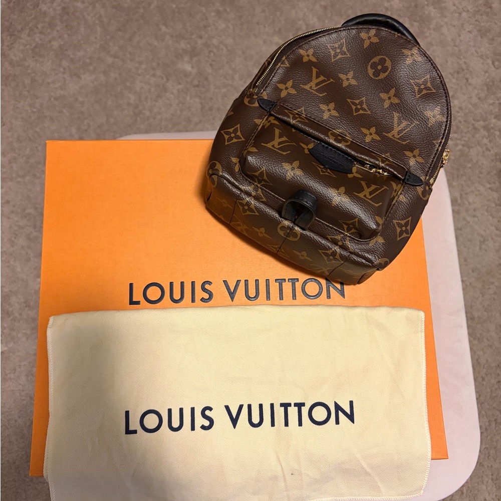 Louis Vuitton Palm Springs Mini Backpack